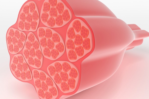 Anne Mawdsley - Ease Pilates, Oakland, CA.